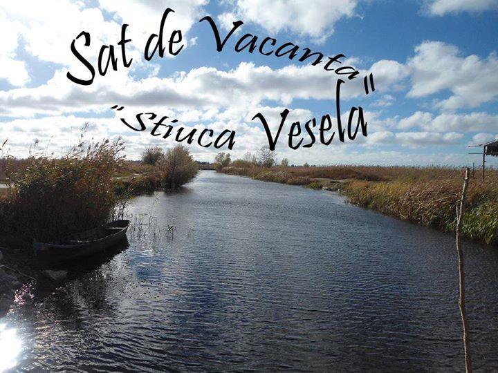 sat de vacanta Stiuca Vesela - pozaaastii.jpg